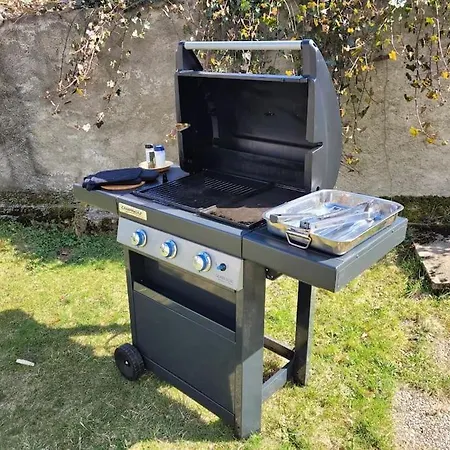 Bruyere, 2 A 5 Personnes Avec Salle De Jeux Et Dans La *