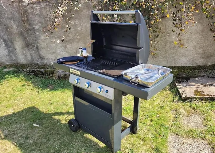 Bruyere, 2 A 5 Personnes Avec Salle De Jeux Et Dans La *