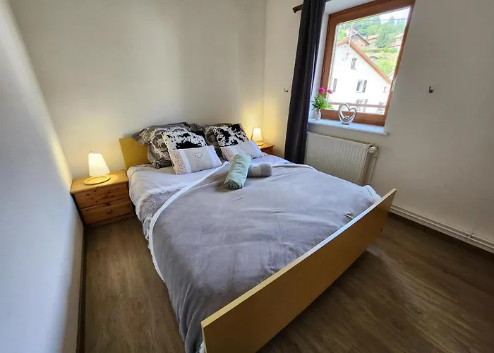 Bruyere, 2 A 5 Personnes Avec Salle De Jeux Et Dans La *